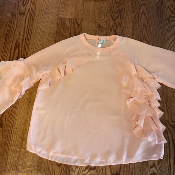 NWT ASOS RAW RUFFLED SHEER BLOUSE. Long sleeve. Crew neck peachy pink size 8 - Picture 11 of 15